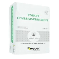 Mortier D'assainissement WEBER Pour Maçonnerie Ancienne
